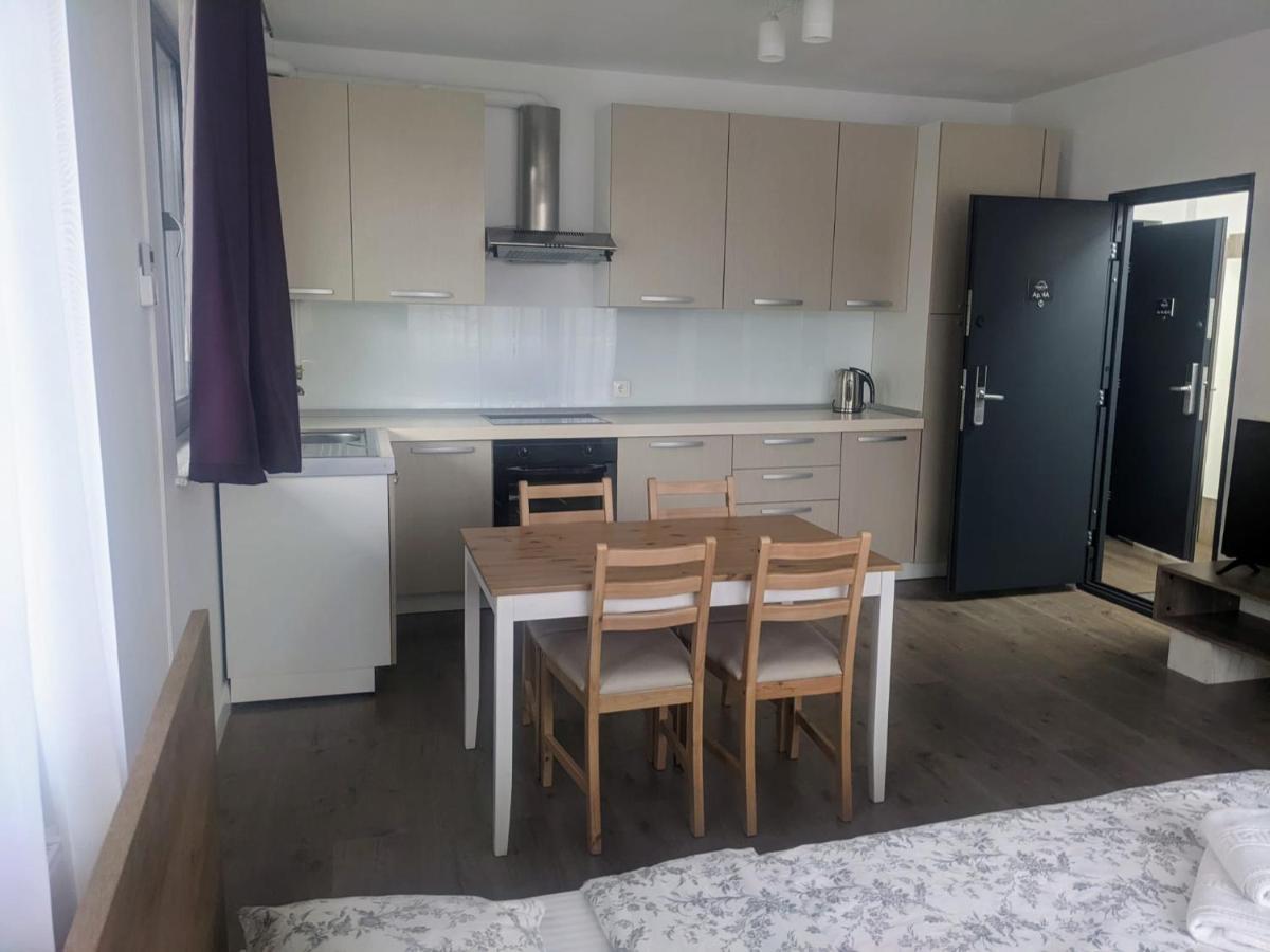 كلوج-نابوكا Tonitza Apartments المظهر الخارجي الصورة