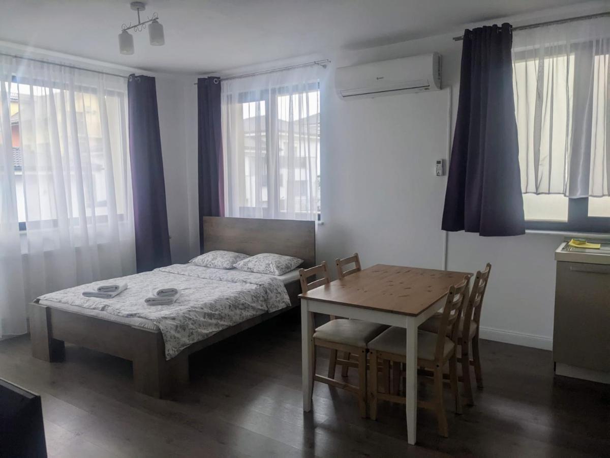 كلوج-نابوكا Tonitza Apartments المظهر الخارجي الصورة